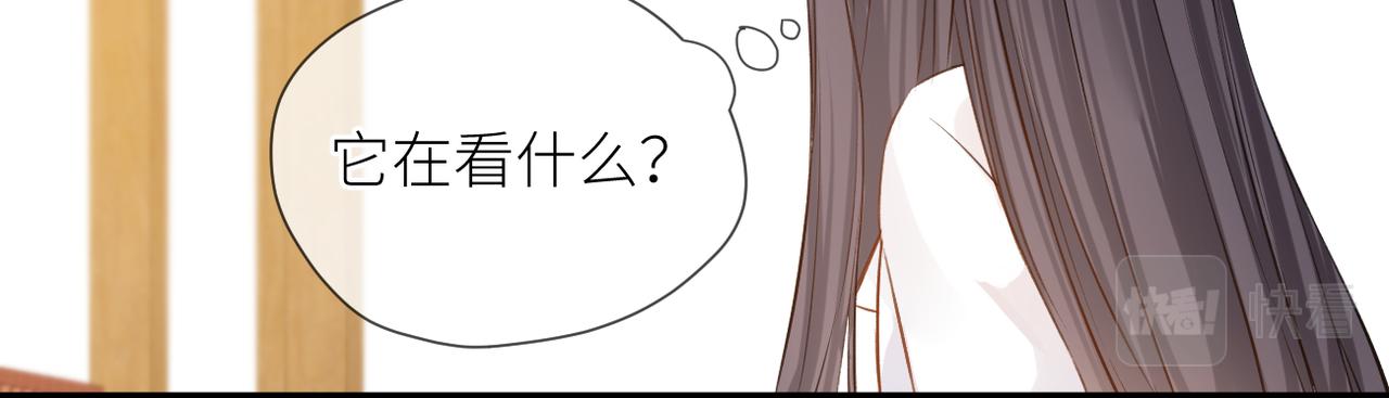 完结篇 橘生淮南26