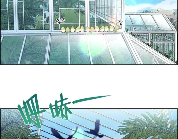 第64话 近距离见面4