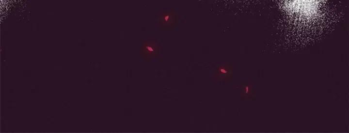 第15话 不给你17