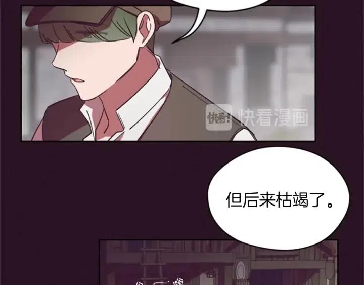第19话 我手中的剑38