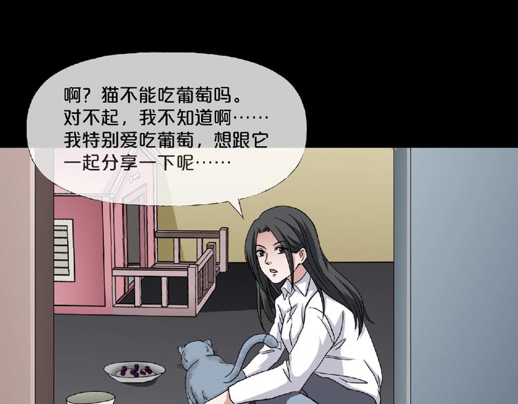 第16话 宠物博主46