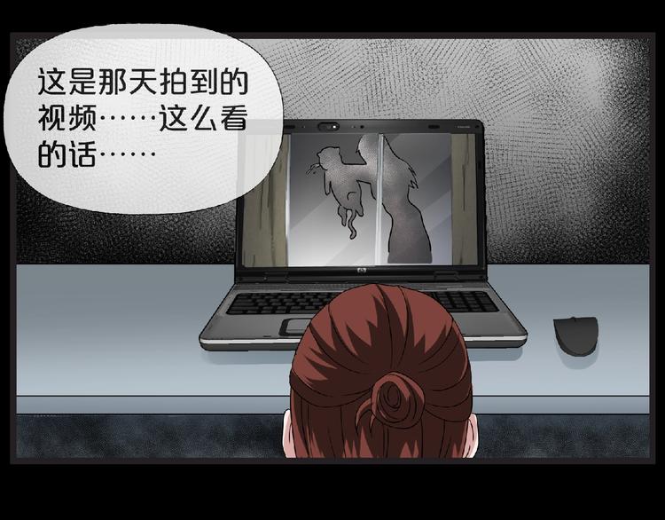 第16话 宠物博主102
