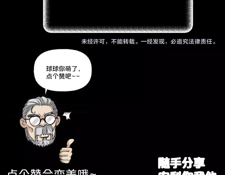 第16话 宠物博主207