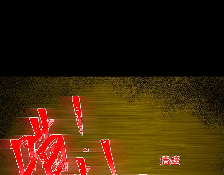 第16话 宠物博主57