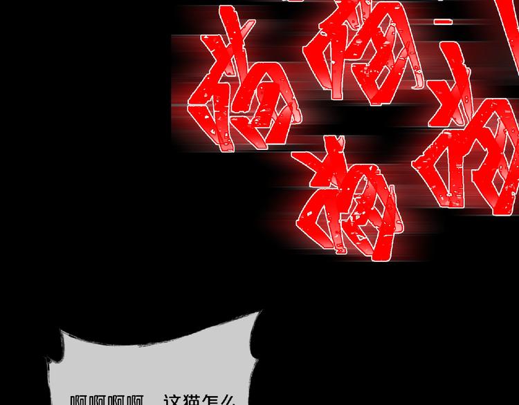 第16话 宠物博主63