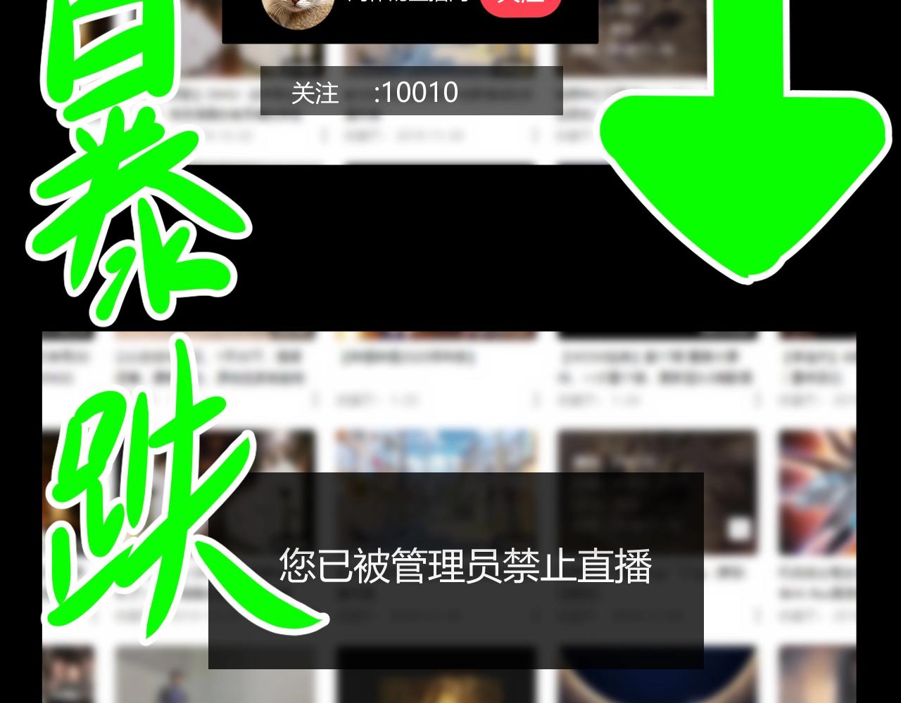 第38话 预知vlog （一）142