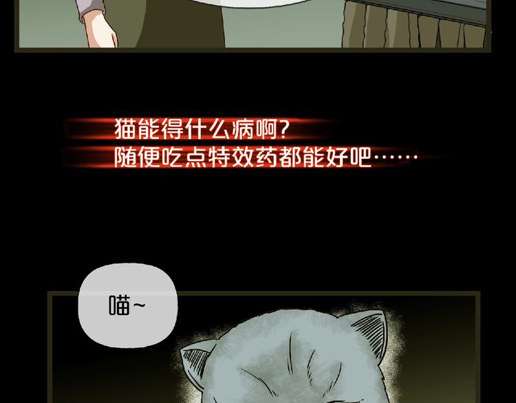 第16话 宠物博主182