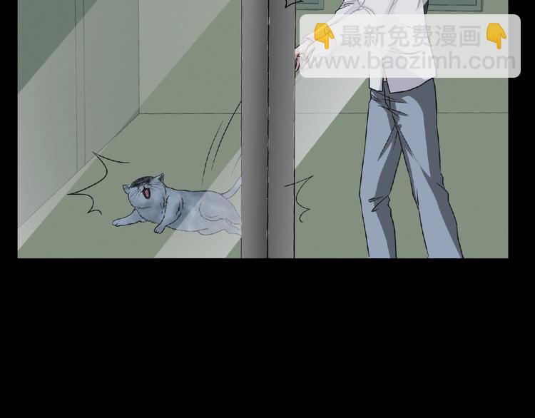 第16话 宠物博主73