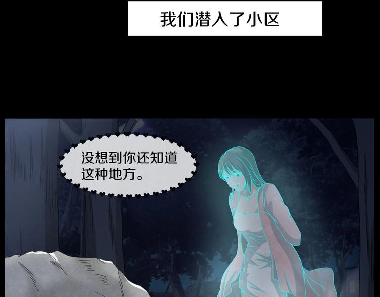 第3话  网红之死88