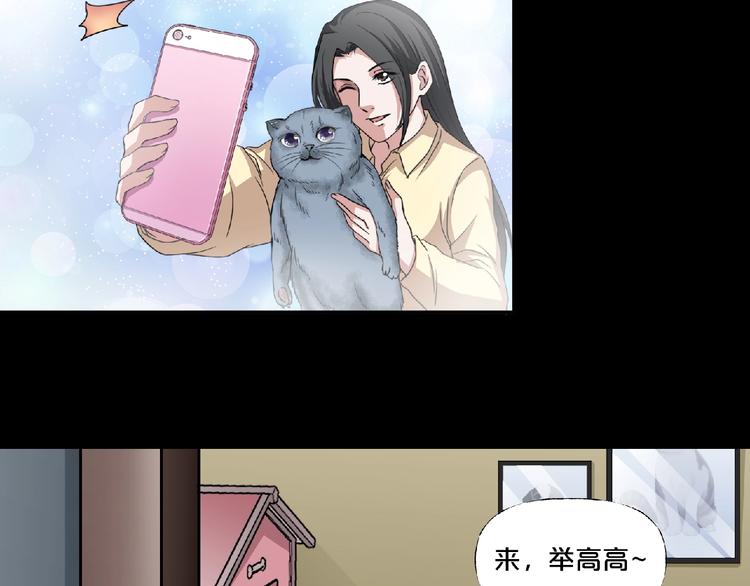 第16话 宠物博主52