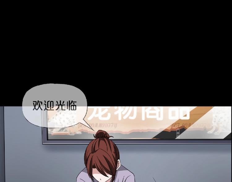第16话 宠物博主19