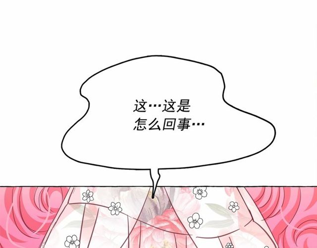 第20话 可爱闪电101