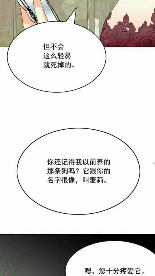 第43话 魔法的代价19