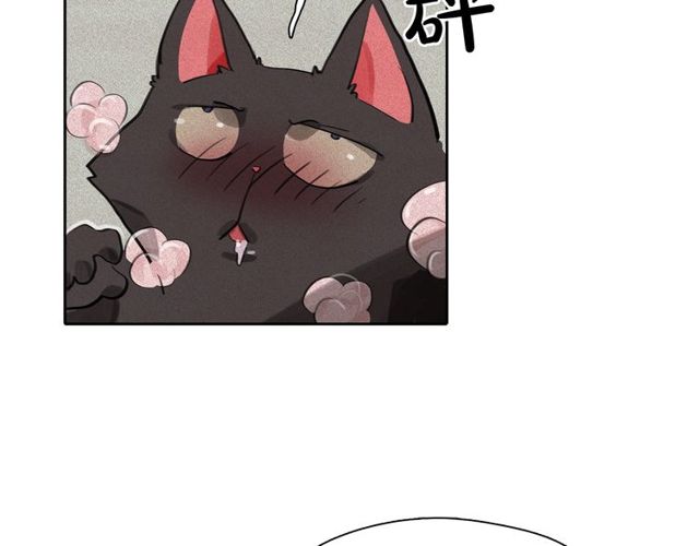 第65话猫薄荷32