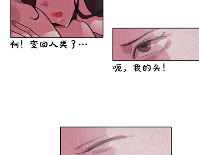 第61话美男的能力51