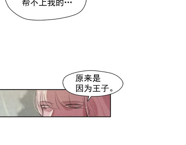 第65话猫薄荷17