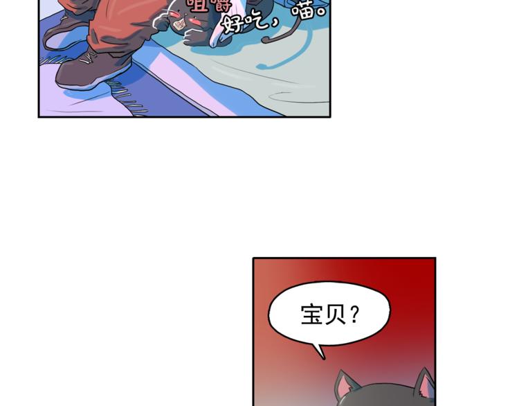 第24话 我要买下那只说话猫！78