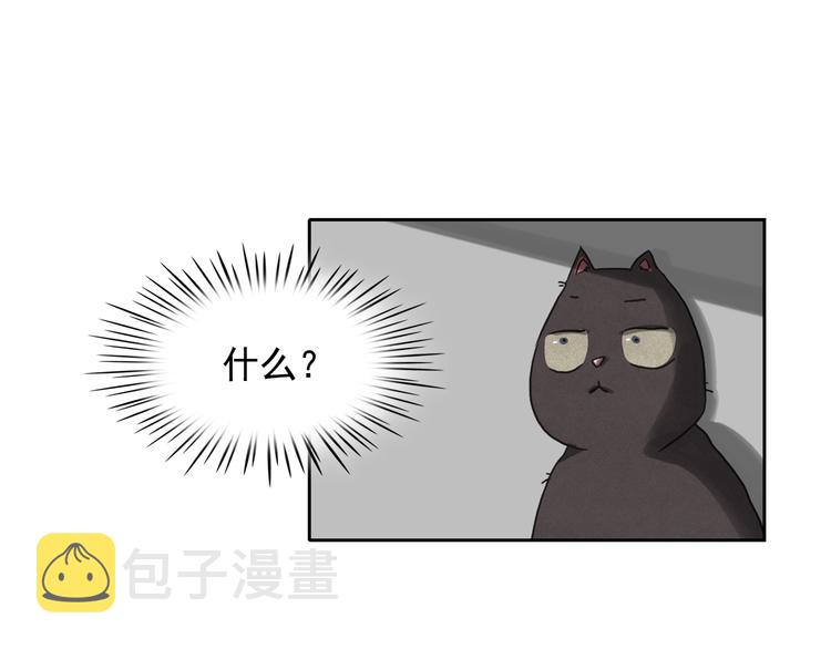 第24话 我要买下那只说话猫！39