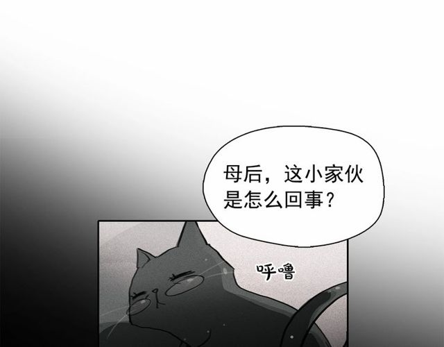 第61话美男的能力64