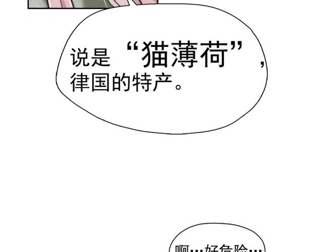 第65话猫薄荷25