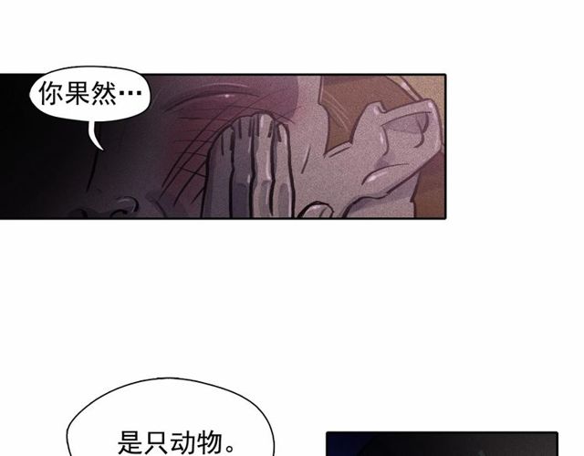第63话未来的王妃37