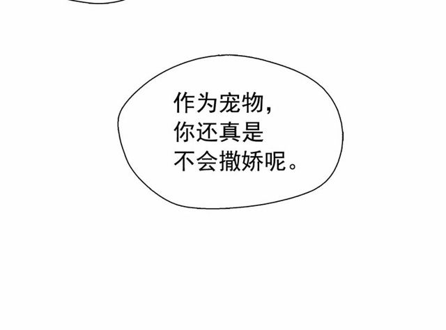 第63话未来的王妃39