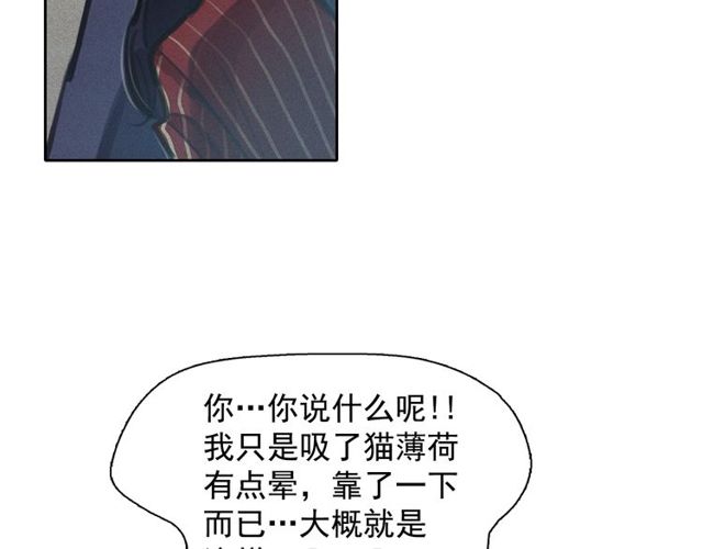 第65话猫薄荷65
