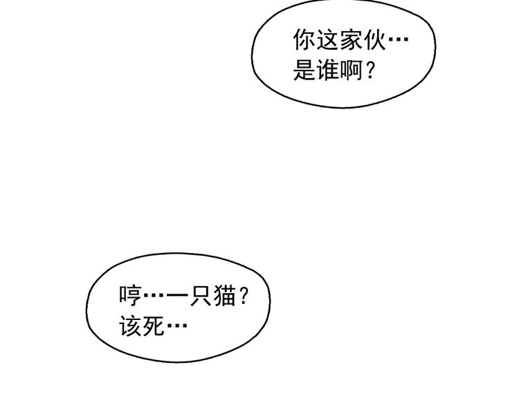 第24话 我要买下那只说话猫！100
