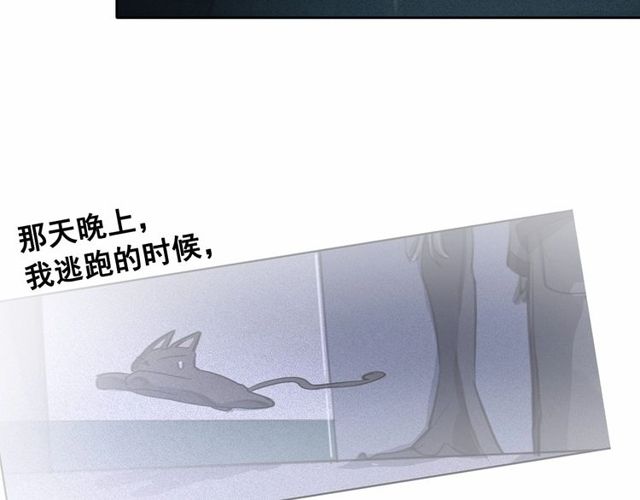 第61话 美男的能力96