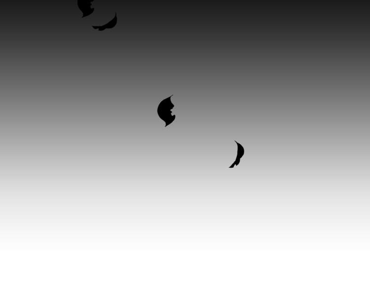 第35话 突发状况11