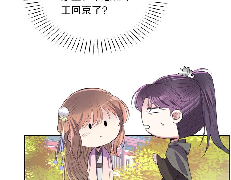 完结篇 跟王爷回京城！9