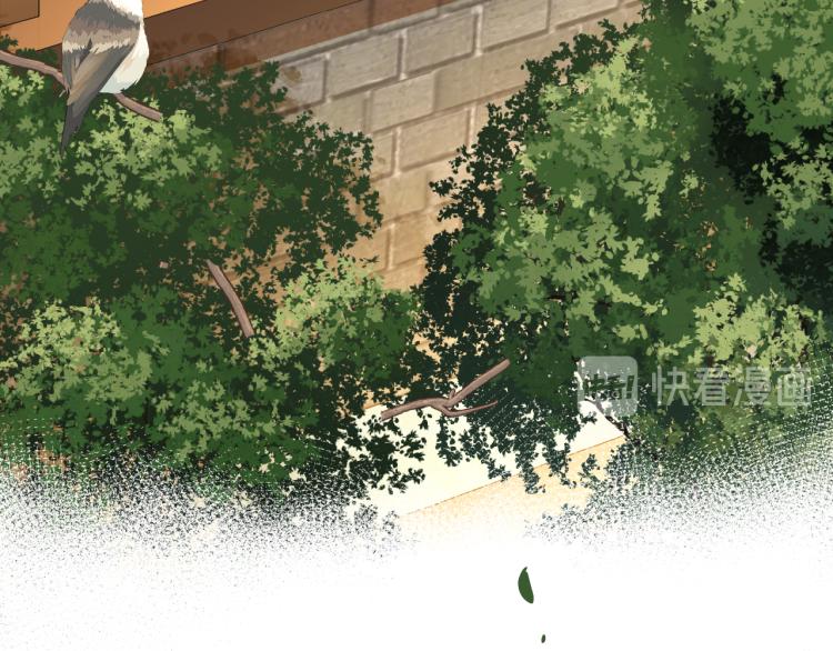 第37话 采花大盗25
