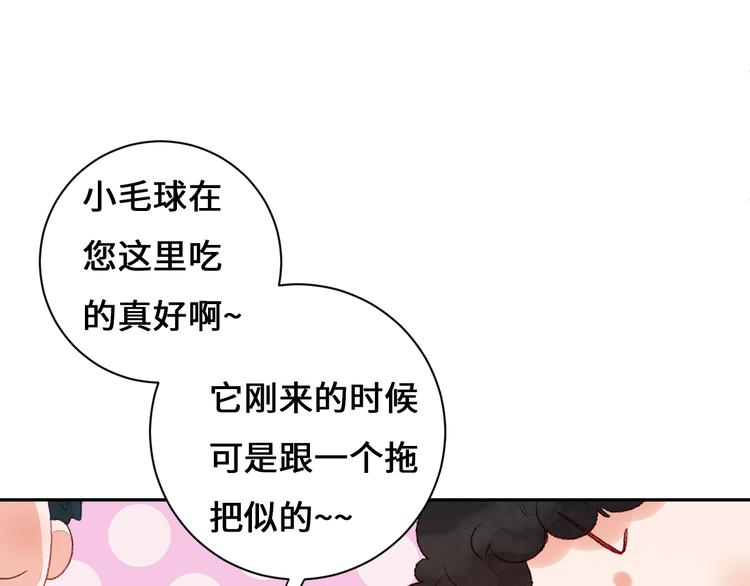 第9话 吸猫的正确姿势65