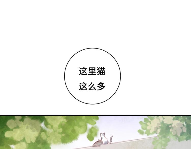 第9话 吸猫的正确姿势121