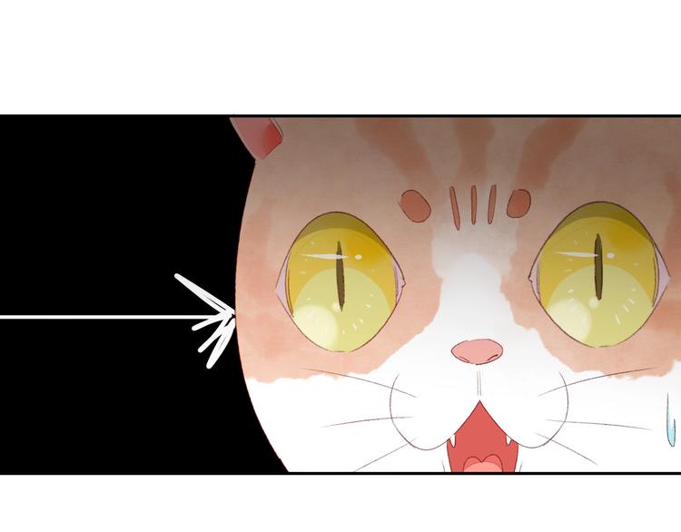 第8话  不要爱上我10