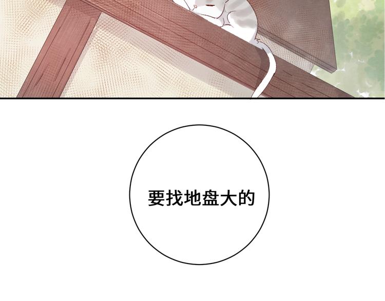 第9话 吸猫的正确姿势129