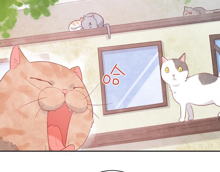 第9话 吸猫的正确姿势122