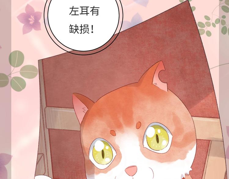第8话  不要爱上我65