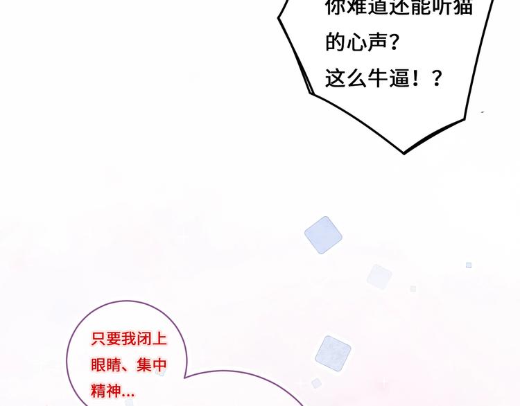 第9话 吸猫的正确姿势104