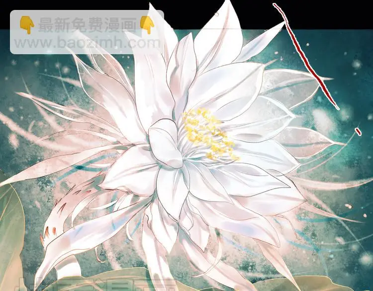 昙逝（下）77