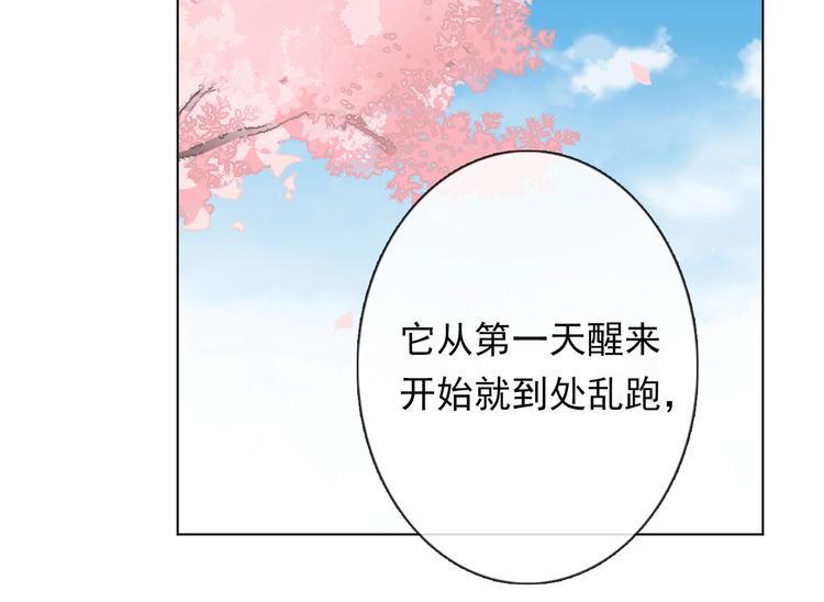第12话 结界41