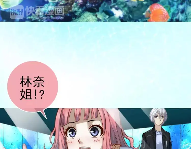 第8话 女王蜂候选人16
