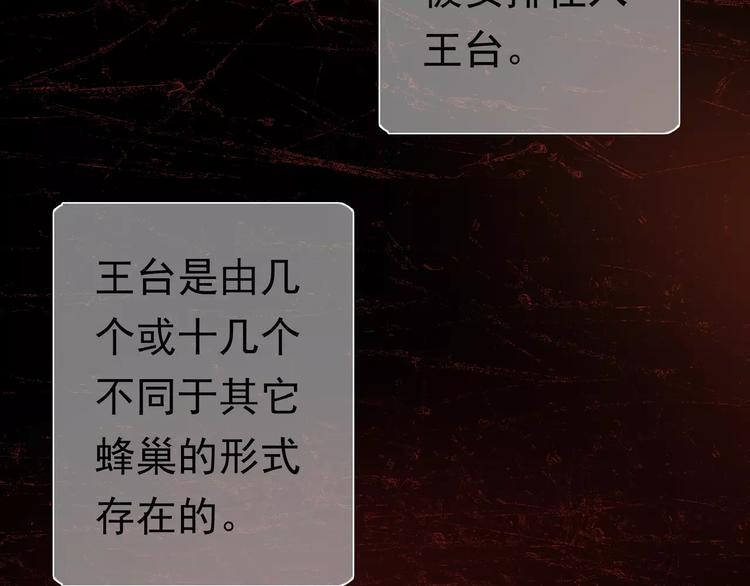 第1话 外星蜂族77