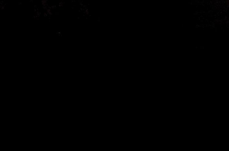 第1话 外星蜂族67