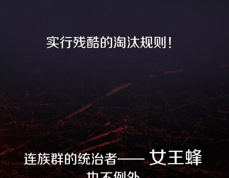 序章 玖月时月全新篇章5