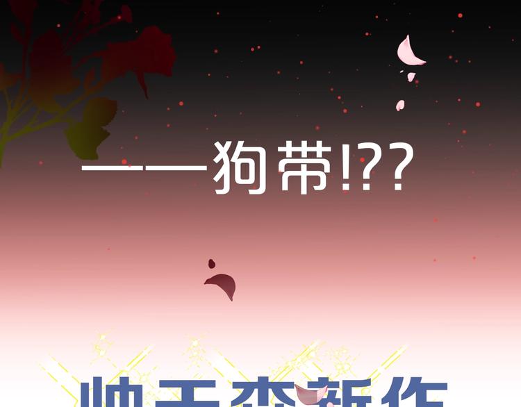 帅帅新作来袭！最惨女主角？6