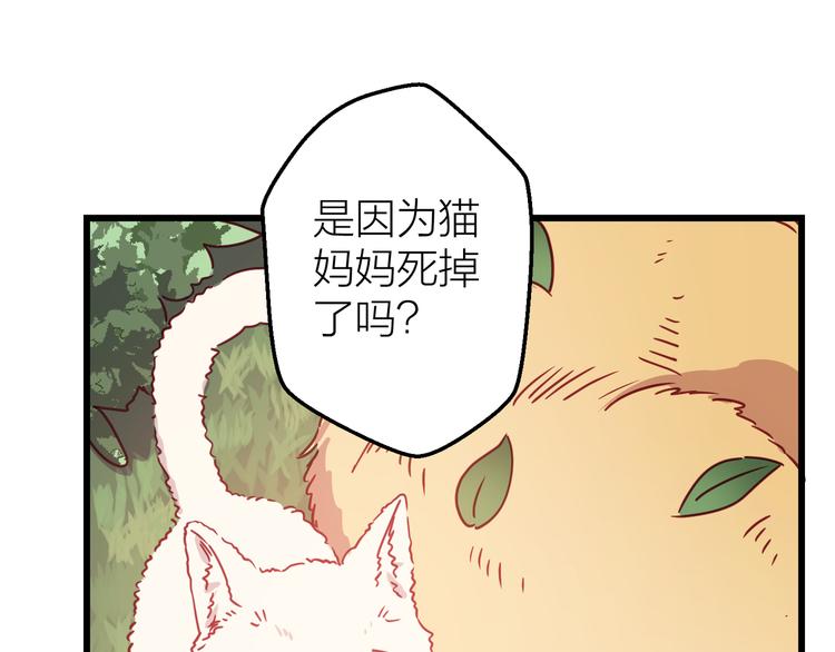 第10话 原来你已经有喜欢的人34
