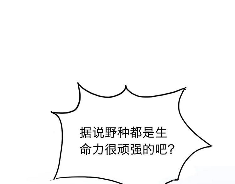 第1话 落魄千金14