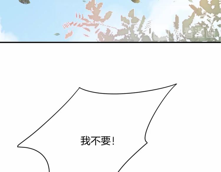 完结篇 目光停留之处255