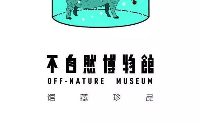 这个星球太罗曼蒂克41